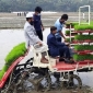 ভোলায় অত্যাধুনিক রাইস ট্রান্সপ্লান্টের মাধ্যমে ধানের চারা রোপণ উদ্বোধন করলেন জেলা প্রশাসক